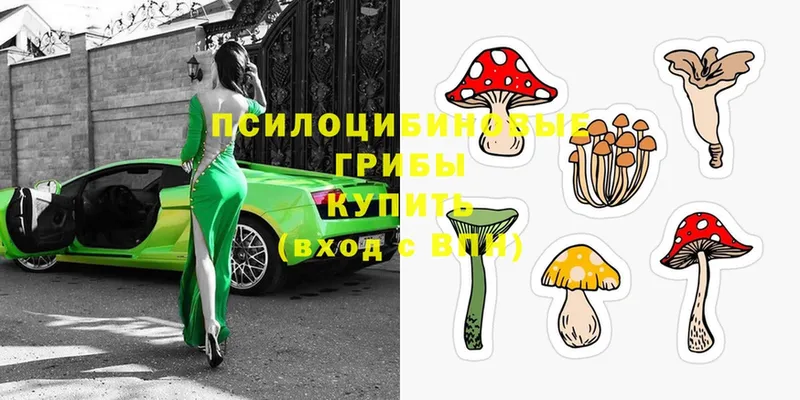 Псилоцибиновые грибы Magic Shrooms  Карабаново 